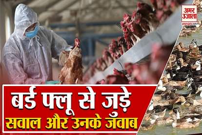 10 Questions and their answers related to Bird Flu