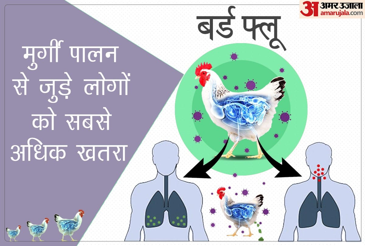 bird flu in China symptoms causes and peventions in hindi