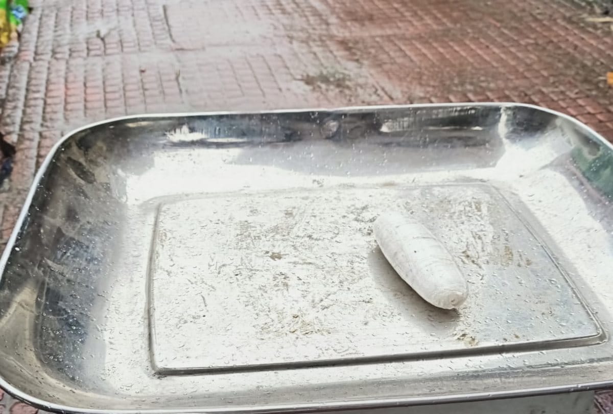 two including army personnel arrested with 69 gram chitta in kullu