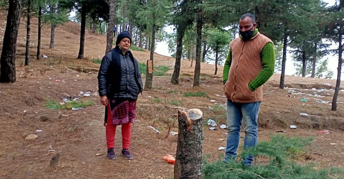 Tree Cut in Berinag
