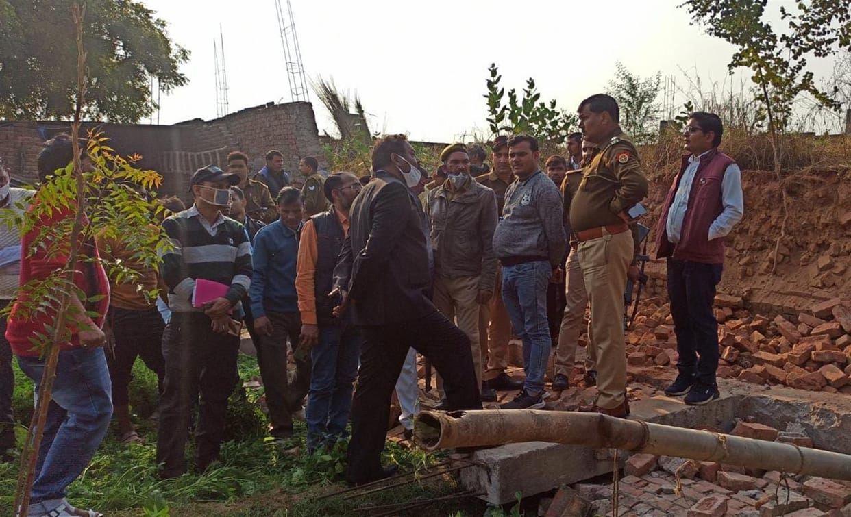 four animals die after wall felling
