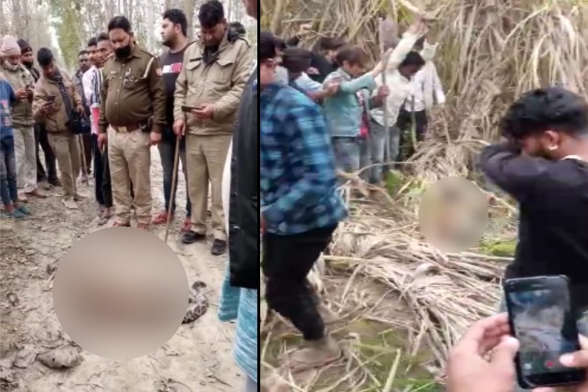 Saharanpur: Villagers beat Guldar with sticks, had attacked on people many times