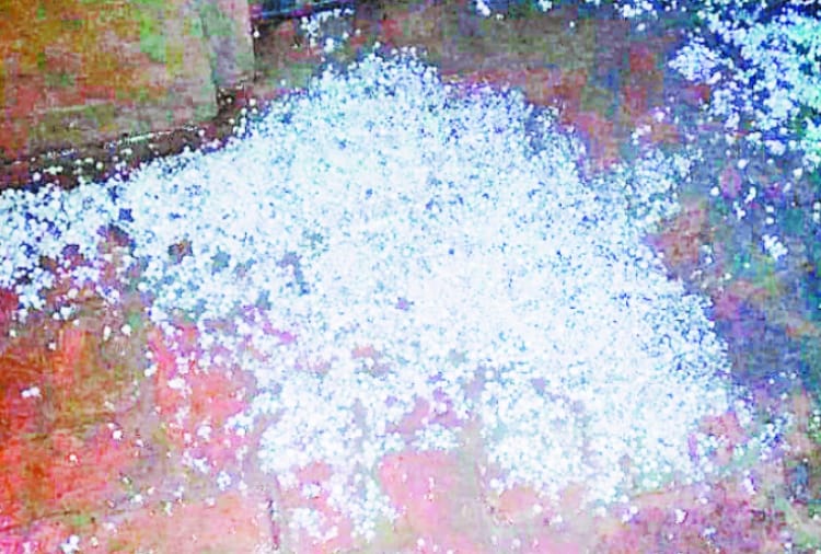 Haryana Weather News: Light Rain in Many Districts of Haryana