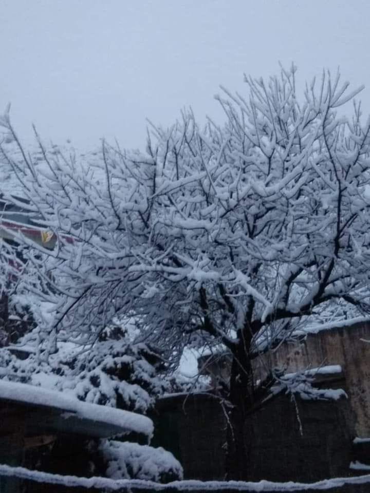 snoe fall