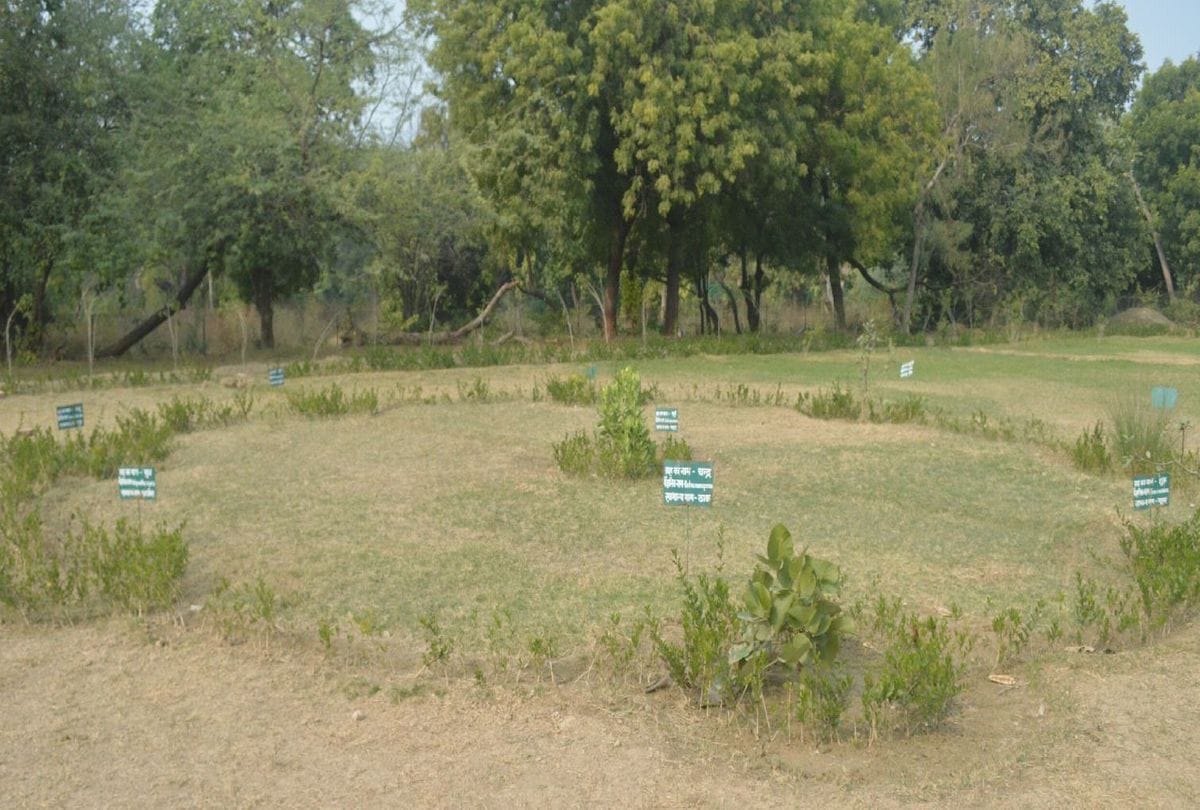 Shah Jahan Garden 27 Types Of Plants Will Attract Tourists In Nakshatra Vatika
