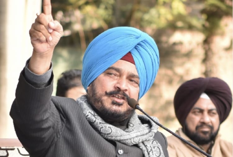 18946 acres forest area cleared from illegal encroachment in Punjab