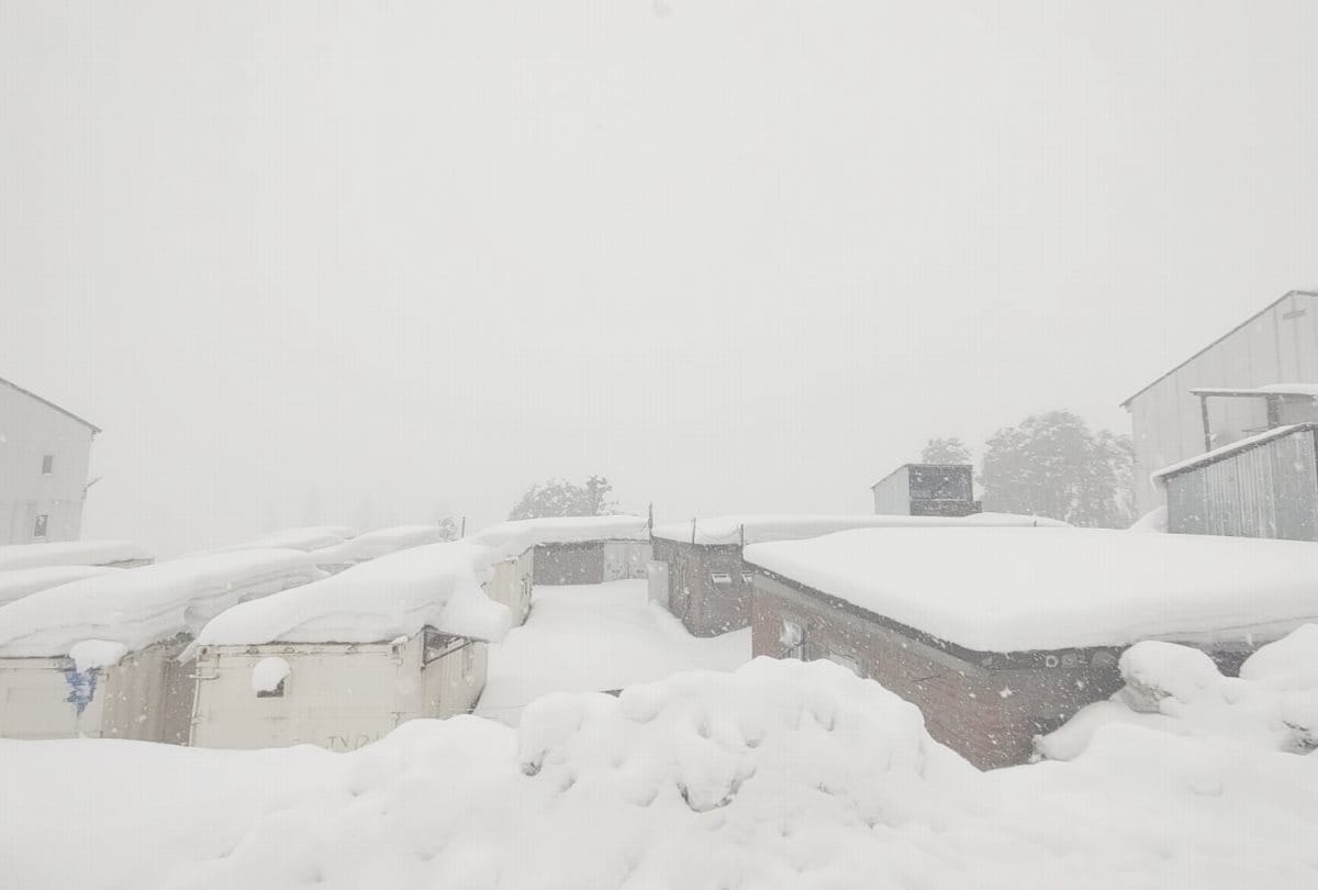 Himachal Weather report: 322 roads stalled due to snowfall in Himachal, avalanche alert in five districts, tourists enjoy in Shimla