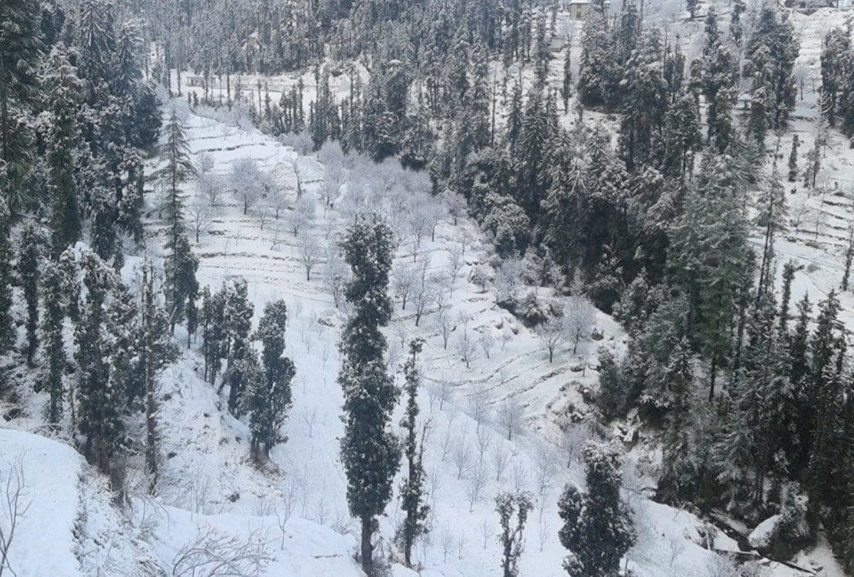 Weather Alert Snowfall in the mountains of North India continuous rain in the plain area