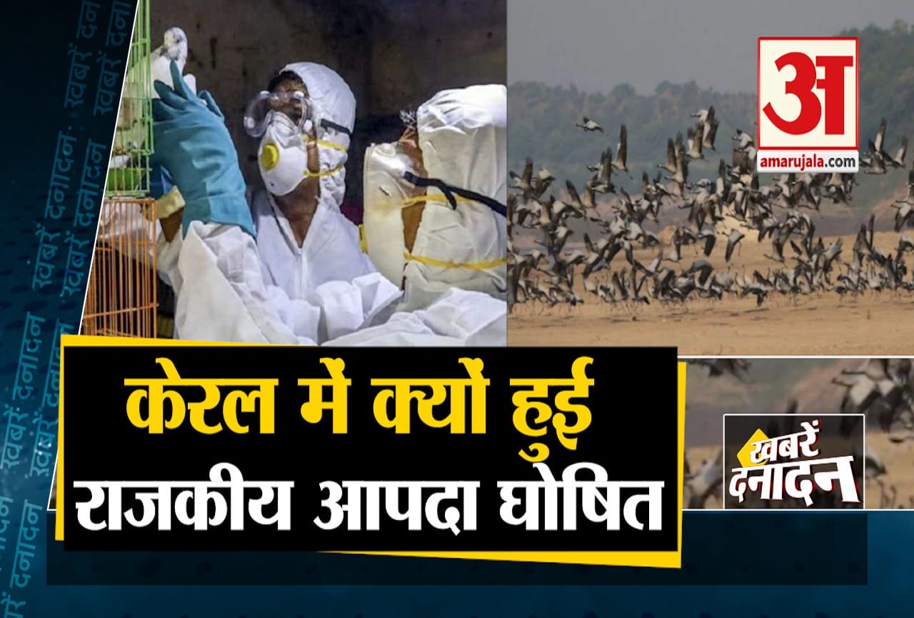 दनादन