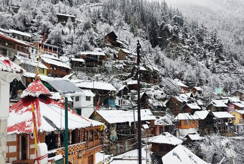 Uttarakhand Weather Snowfall News: White Sheet of Heavy Snow Covered Hilly Areas Awesome Visuals