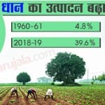 धान पर सरकार सबसे ज्यादा एमएसपी देती है