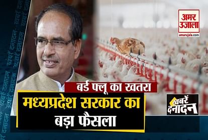 CM Shivraj take major decision in emergency meeting on the increasing of bird flu ban on poultry trade and other 10 big news