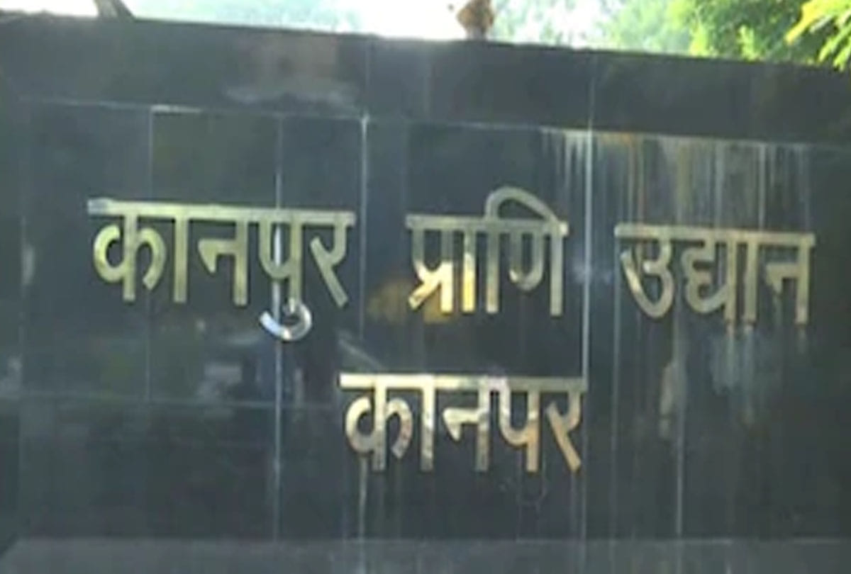 Bird flu: Food changes after bird flu confirmed in zoo