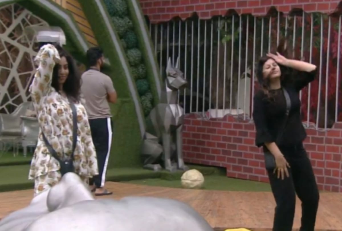 Bigg boss 14 arshi khan banned from captaincy task after break the rule