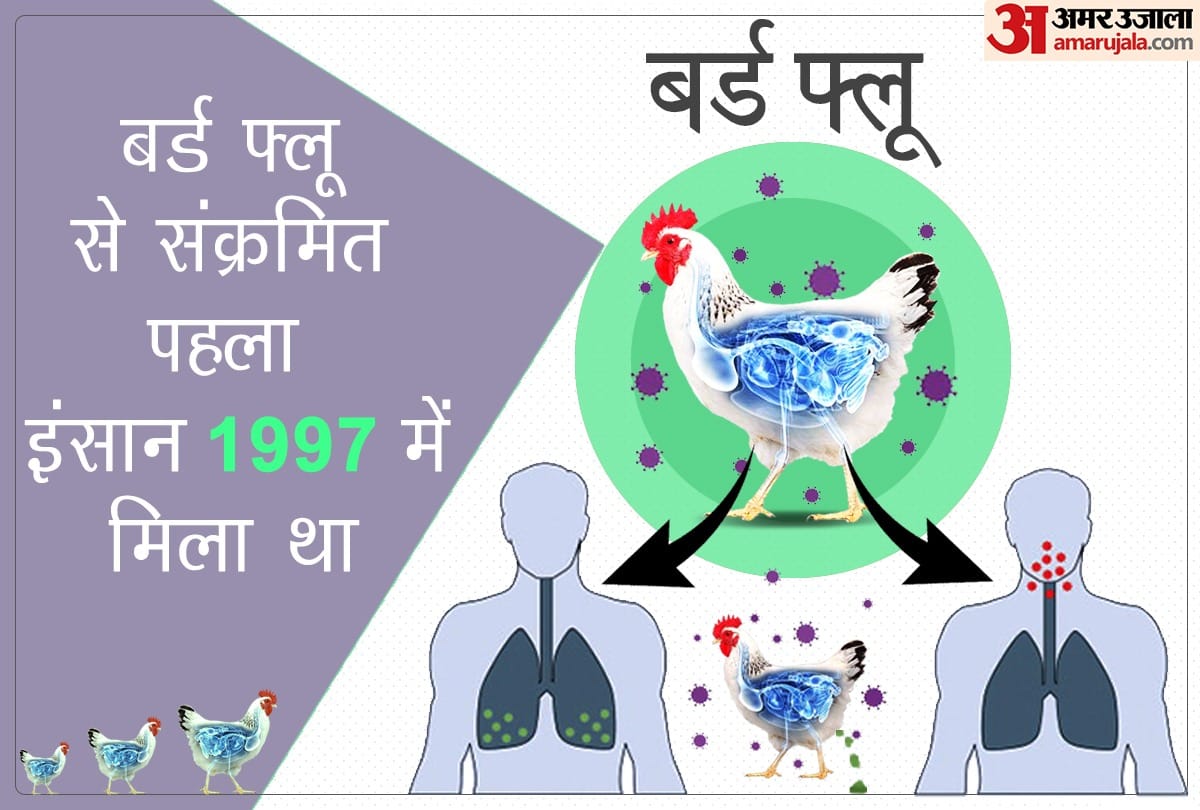 Alert regarding bird flu in Varanasi task force constituted meeting to be held on 11