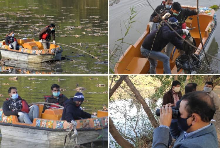 Four birds found dead near Sukhna Lake Amid bird flu cases reported in Many States