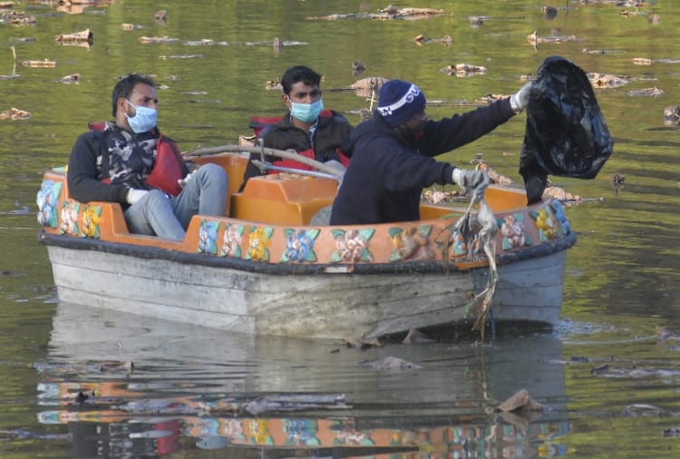 Four birds found dead near Sukhna Lake Amid bird flu cases reported in Many States