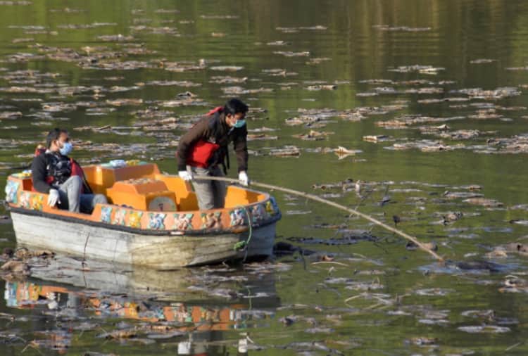 Four birds found dead near Sukhna Lake Amid bird flu cases reported in Many States