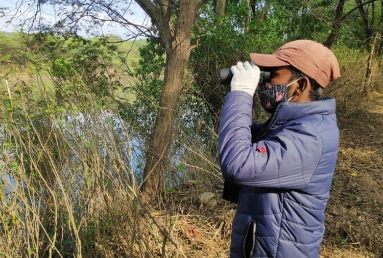 Four birds found dead near Sukhna Lake Amid bird flu cases reported in Many States