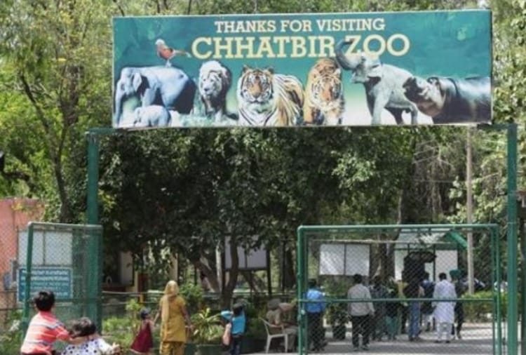 Bird Aviary of Chhat Bir Zoo Closed for Five days after Bird flu Cases reported in Many States