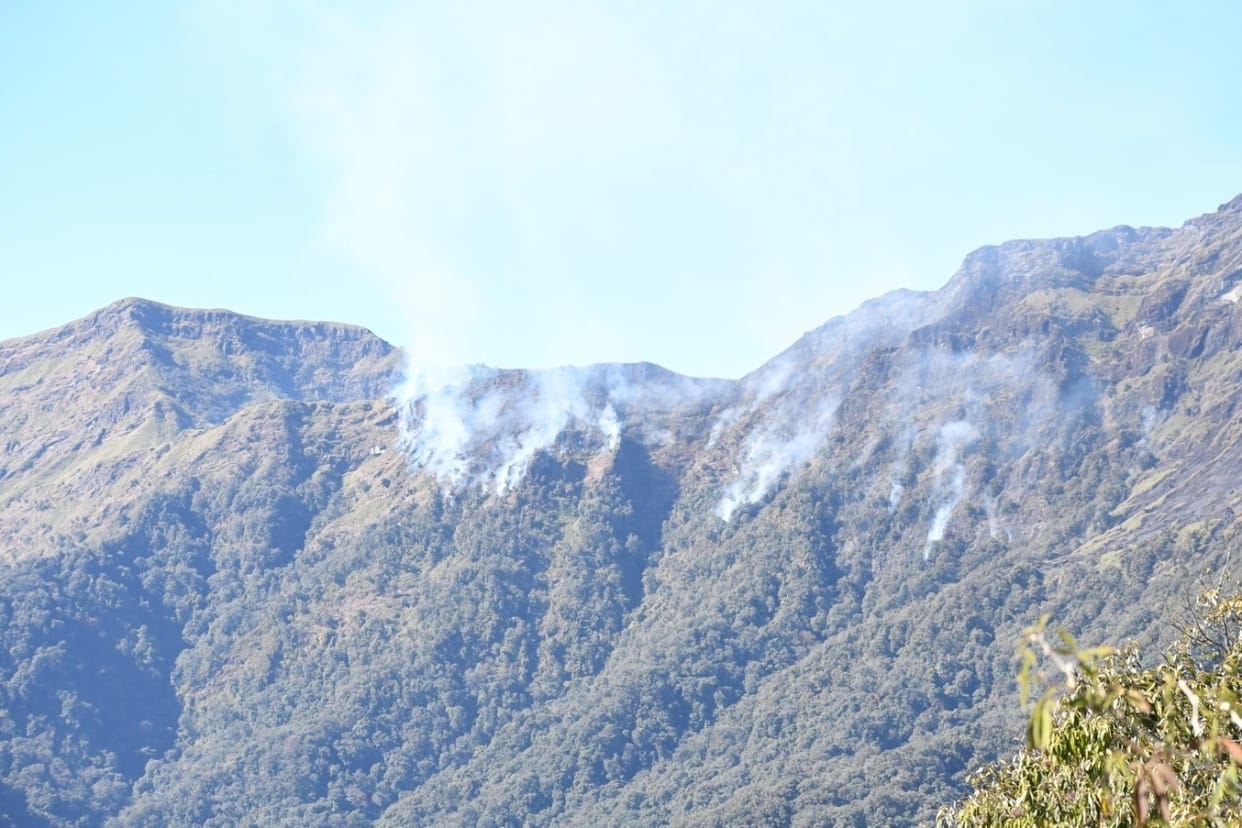 The forest fire in the Dajuko valley of Nagaland is spreading further