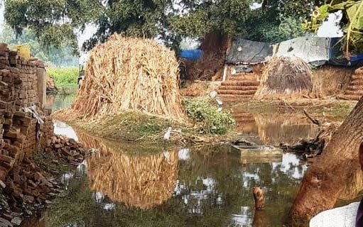 minor cut, crops dive in water