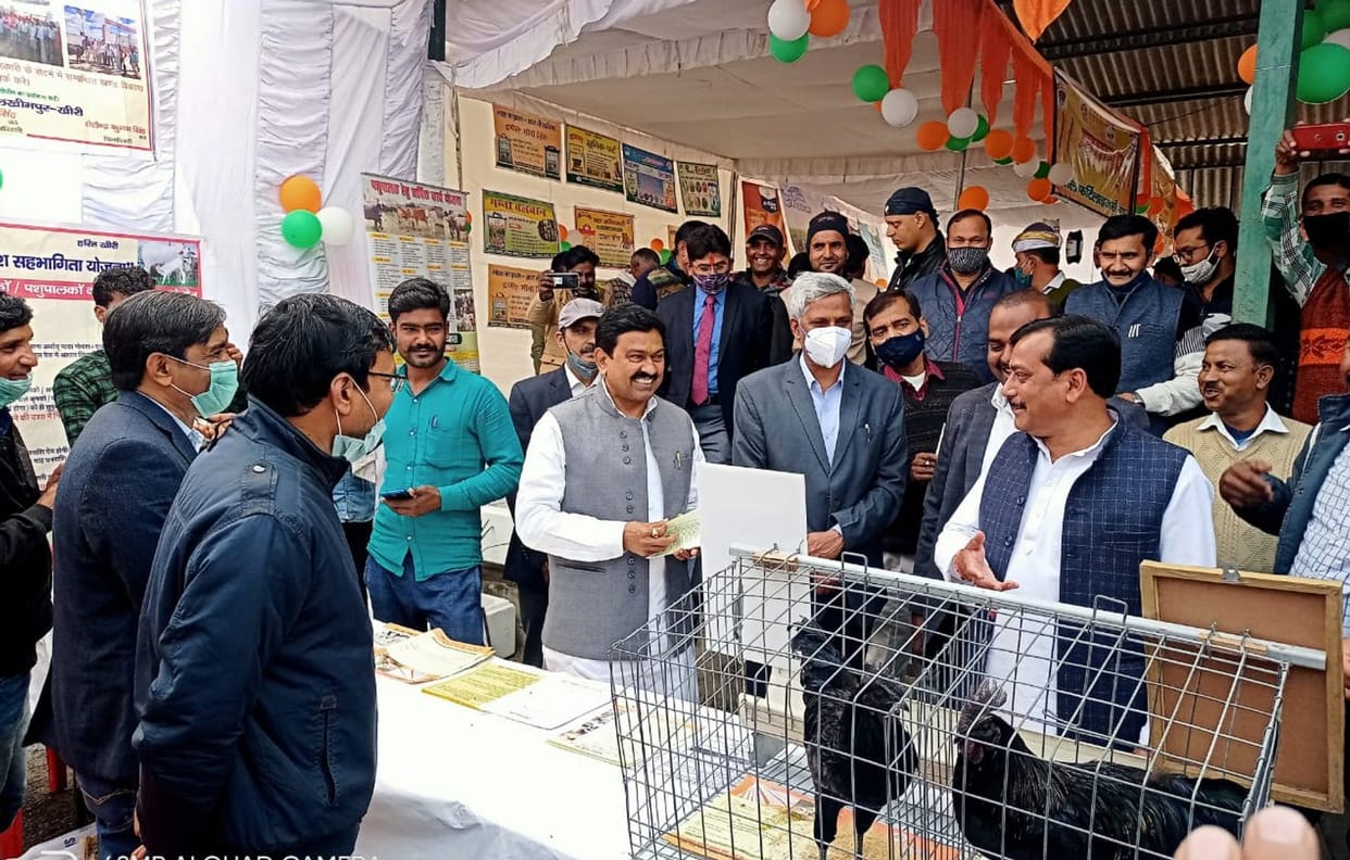 Civic Amenities