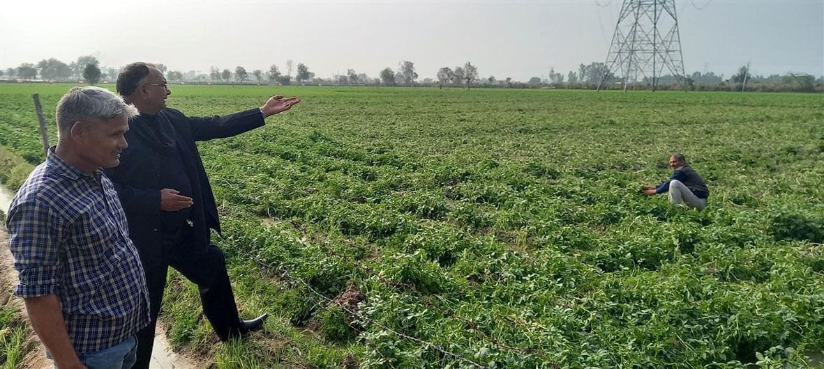 30.5 hectares crops damage due to rain