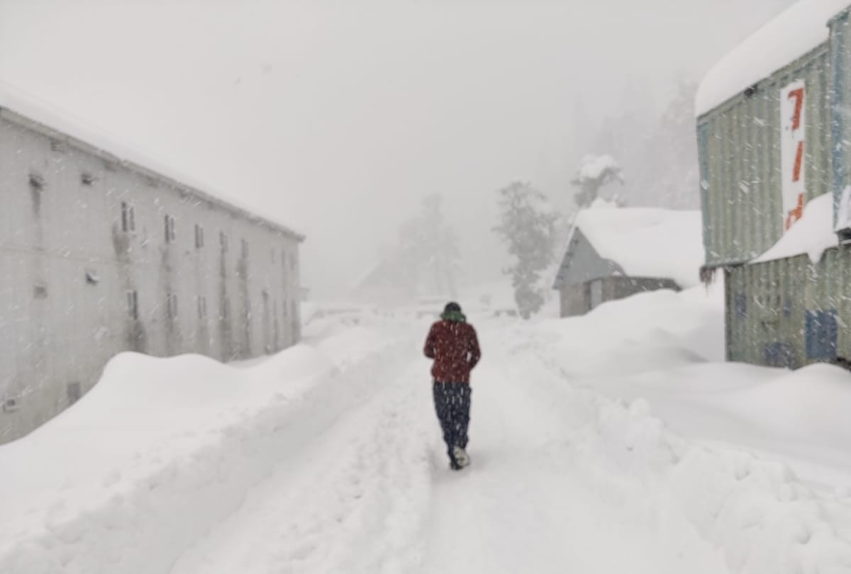 himachal weather update: tourists rescued by police after heavy snowfall in solang nala manali