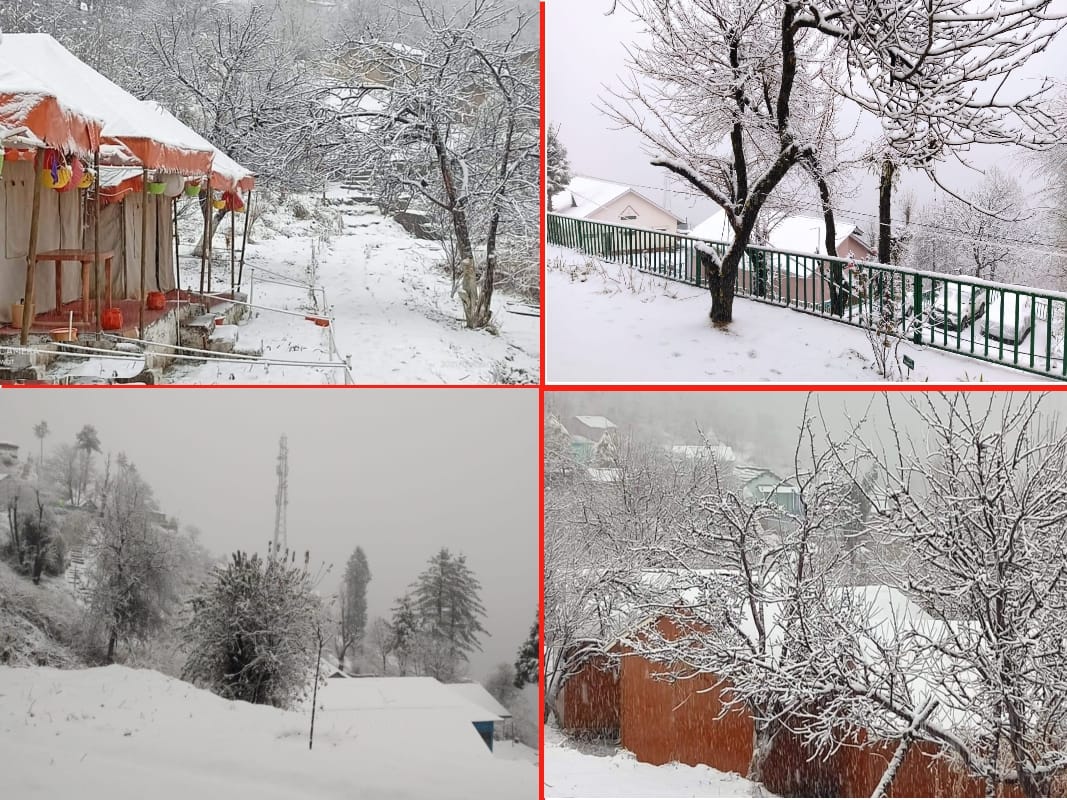 Uttarakhand Weather News Today: awesome snowfall photos from auli