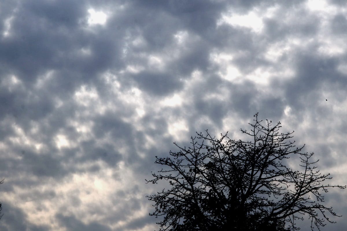 Weather forecast news update up: Heavy rains in many districts including western UP