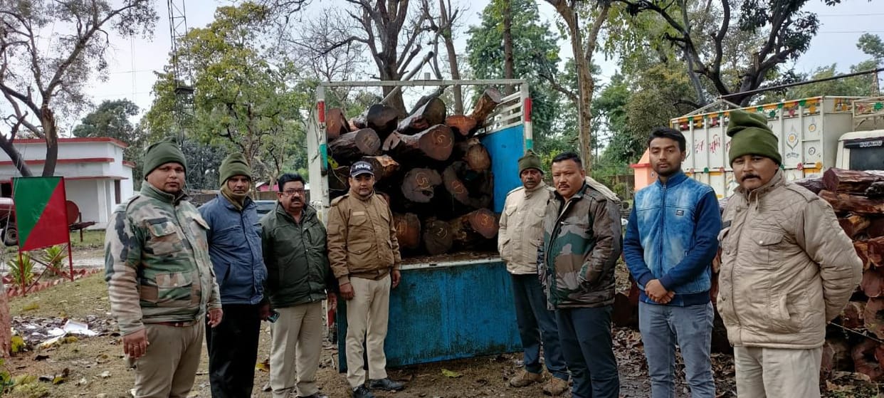 Well wood recovered from pickup