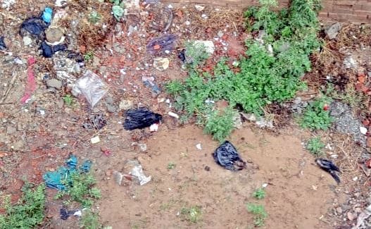 Crows found dead near school, rural in fear of bird flu