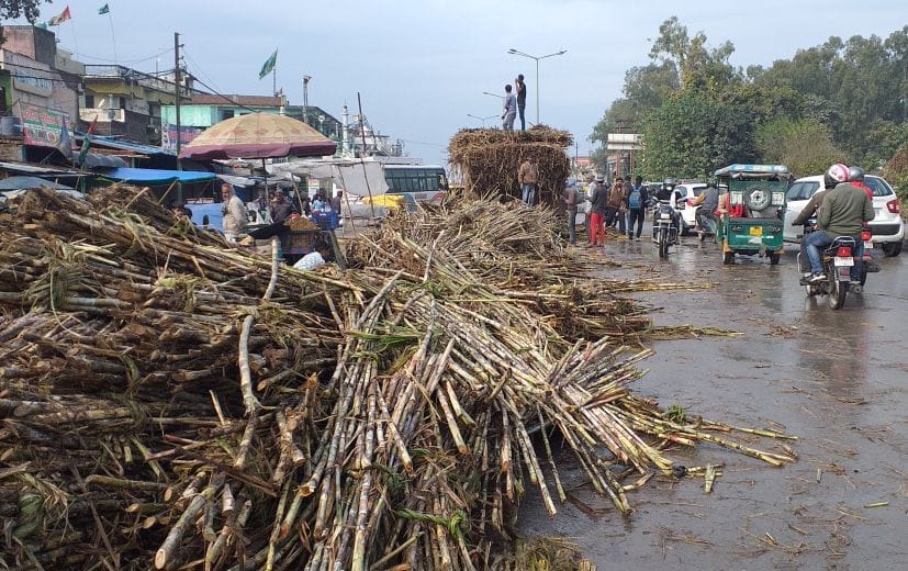 Sugarcane fell from the truck on the highway, jammed