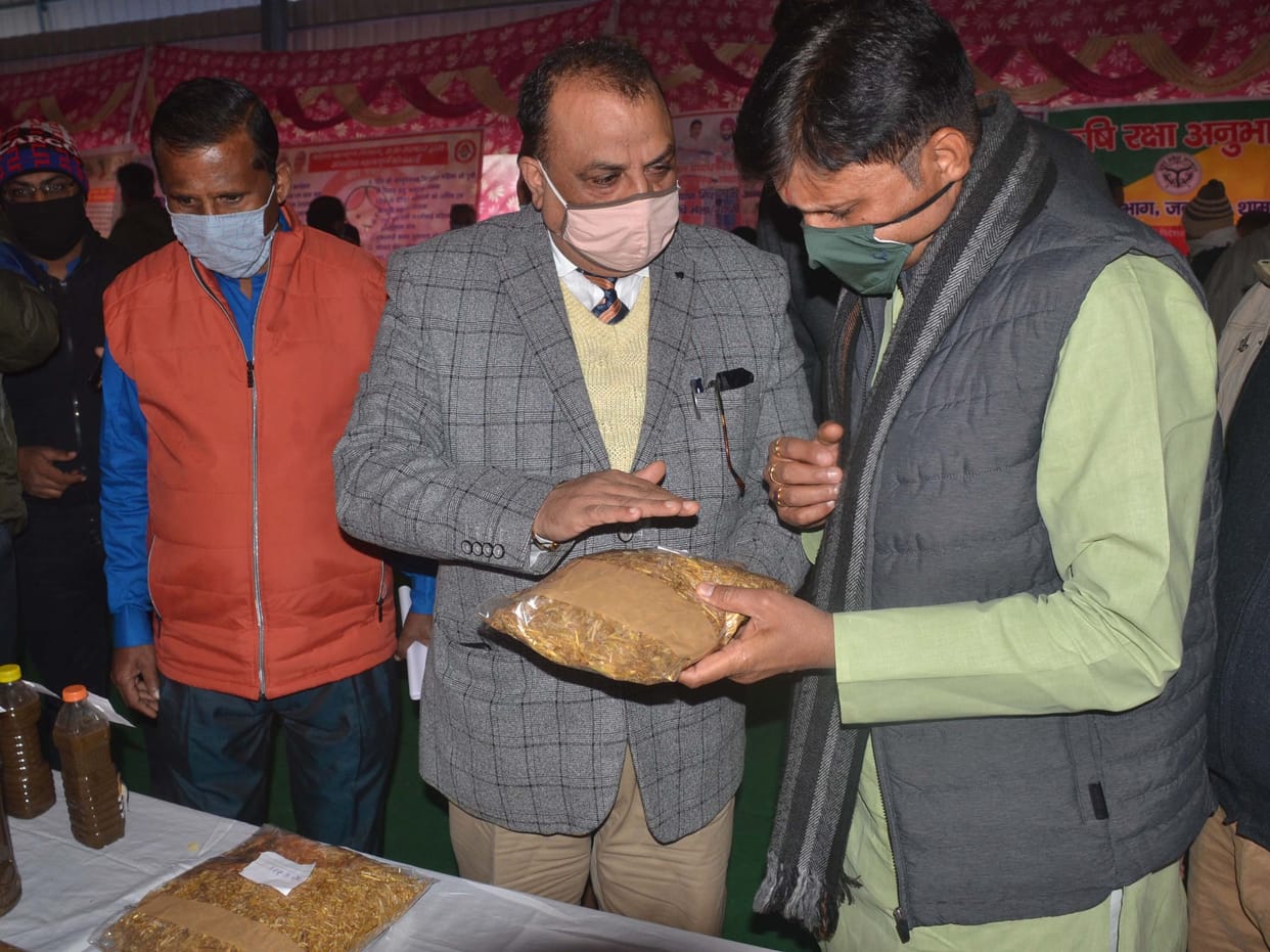 Farmers should abandon chemicals and adopt organic farming