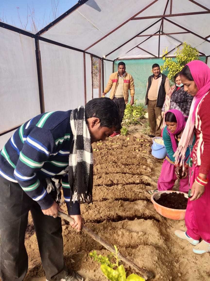 Akharot Farming in Champawat