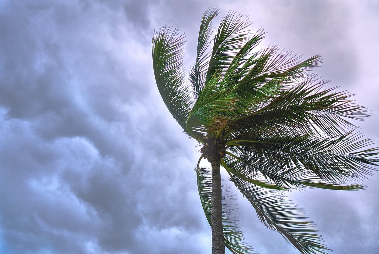 Storm In Japan : Hurricane feared, Japan asked people to evacuate Kyushu Island, Read important news