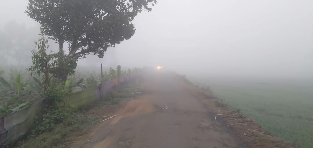 weather