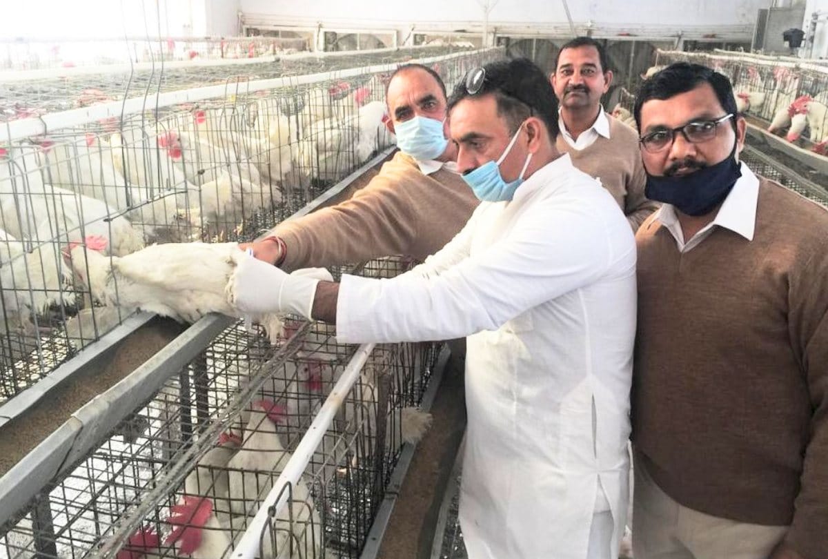 Lucknow News : Veterinarians warn of mass resignation if suspension is not withdrawn