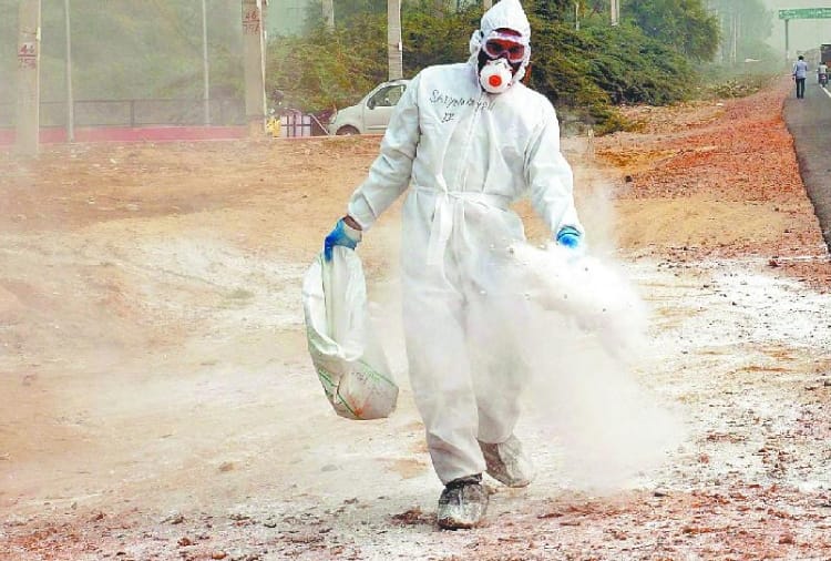 Bird flu confirmed in Haryana, 2 out of 3 reports positive