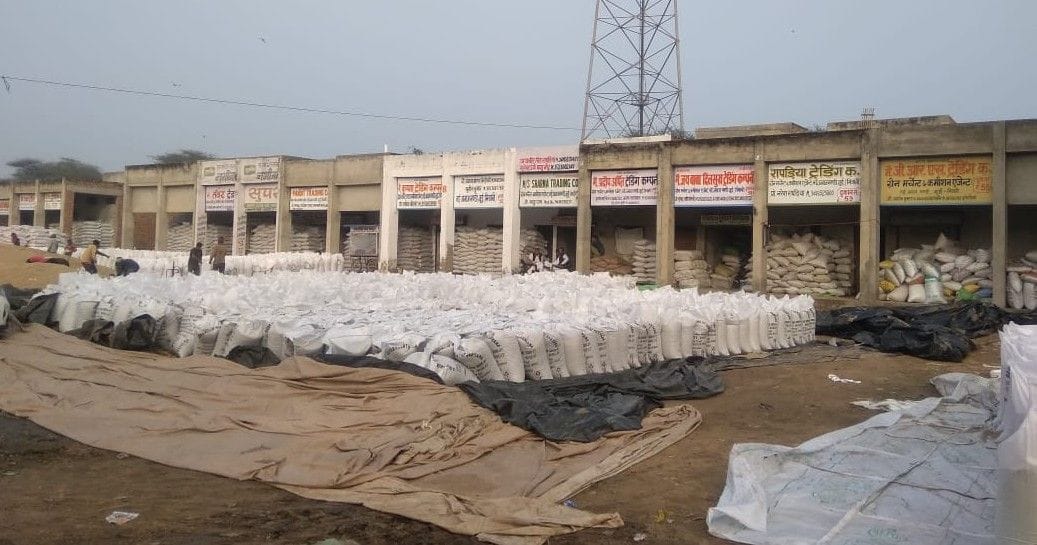 grain market, bajra wet in rain, people protest