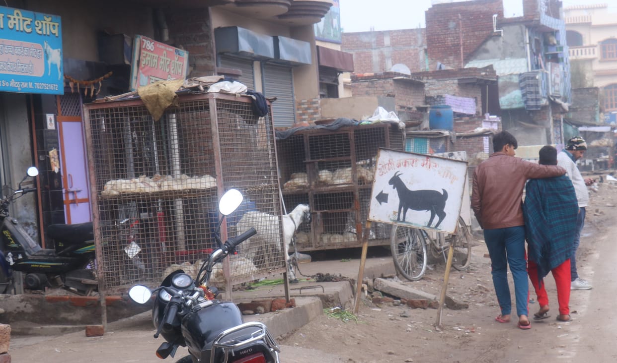 bird flu, market down, people
