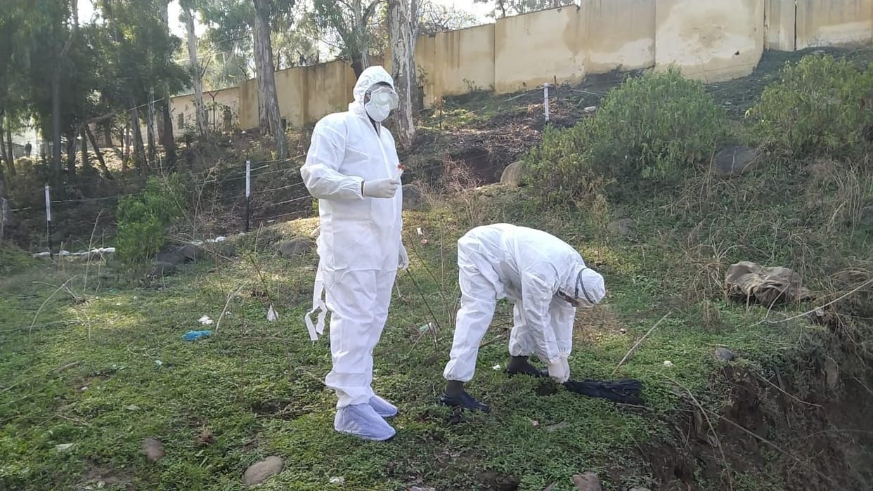 rajouri jammu kashmir bird flu