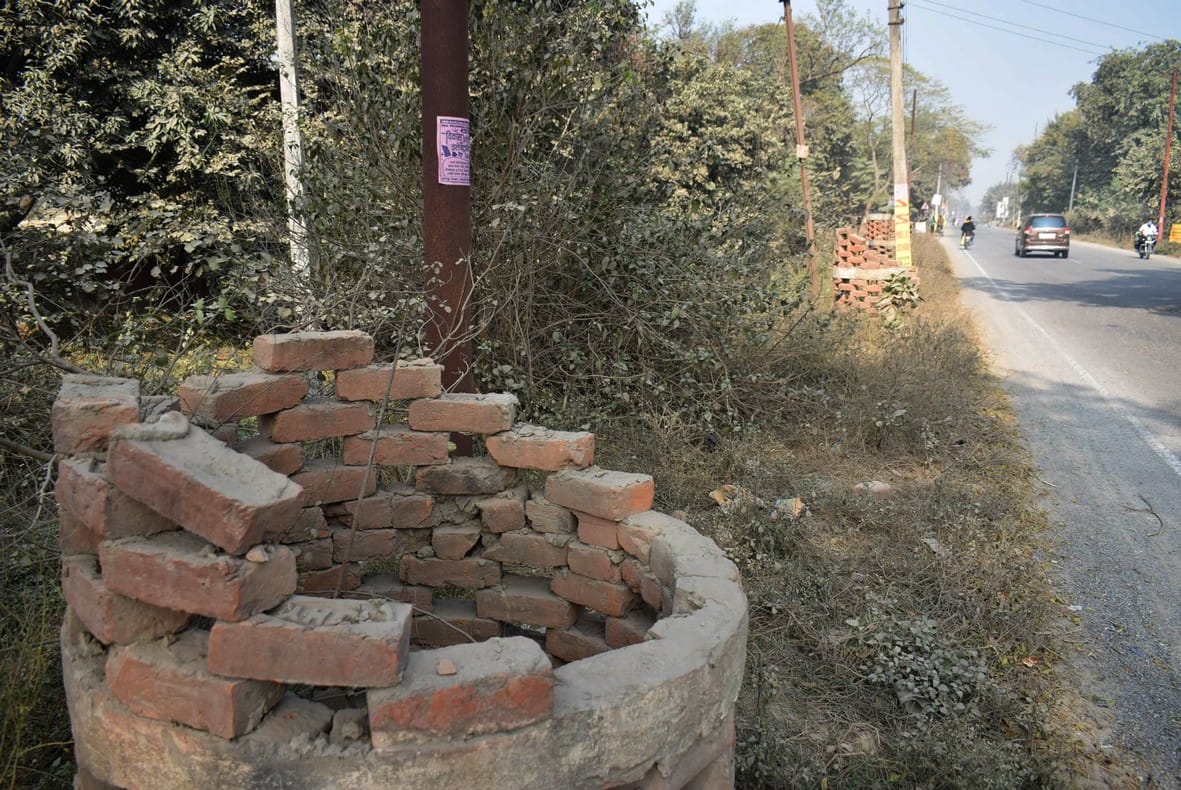 Plants were planted, dried before the trees became
