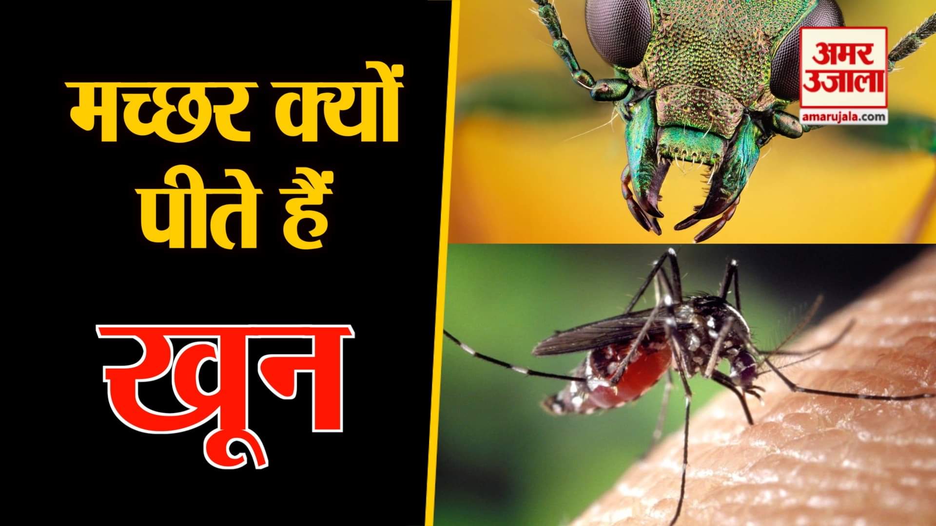 डिजाइन इमेज