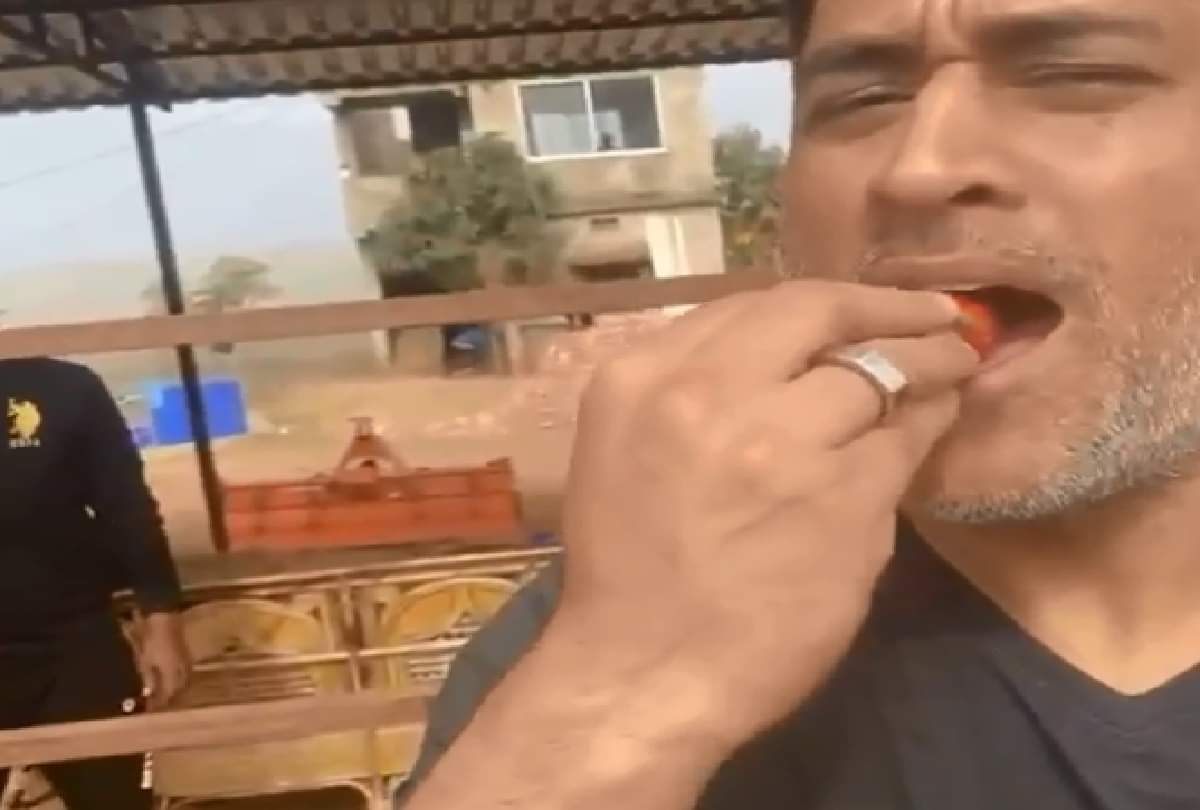 mahendra singh dhoni increased sales of vegetables and fruits earn 30 lakh rupees by selling strawberries