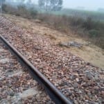 ट्रेन की चपेट में आने से तेंदुए की मौत