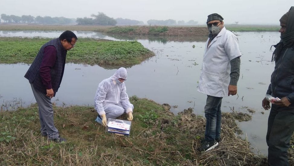 A sample of the bird's beet taken at Sandi Birds Vihar