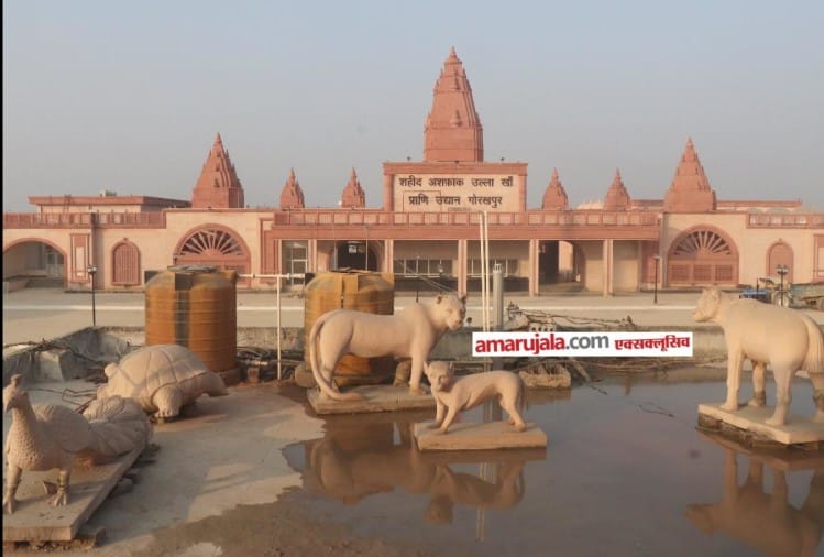 यूपी में अब तक का सबसे खास चिड़ियाघर बनकर तैयार, तस्वीरों में देखें