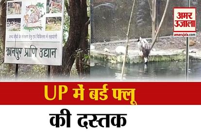 Bird flu confirmed in Kanpur zoo in UP
